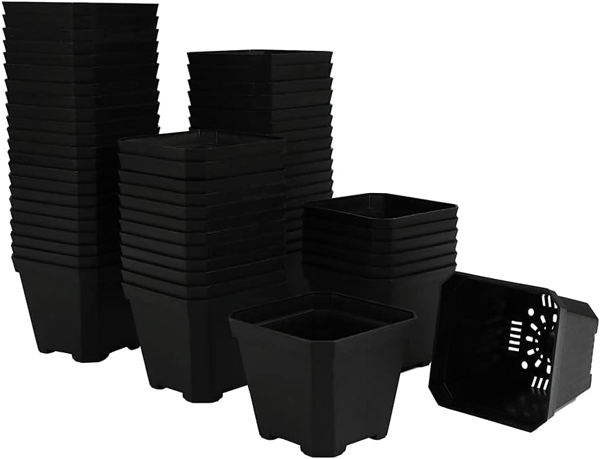 BangQiao 60 Pack Small 3.90 Inch Black Plastic Square Nursery and Seedling Pot Container, Seed Starting Transplant Planter with Drain Hole for Germina 