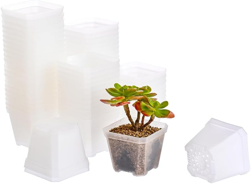 BangQiao 60 Pack Small 3.90 Inch Clear Plastic Square Nursery and Seedling Pot Container, Seed Starting Transplant Planter with Drain Hole for Germina 