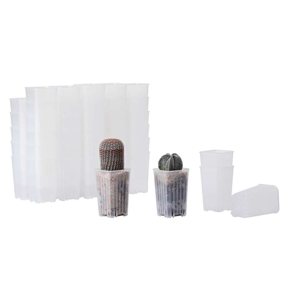 BangQiao 60 Pack 1.95 Inch Tiny Clear Plastic Square Nursery and Seedling Pot, Mini Deep Transplant Seed Starter Planter with Drain Hole for Germinati 